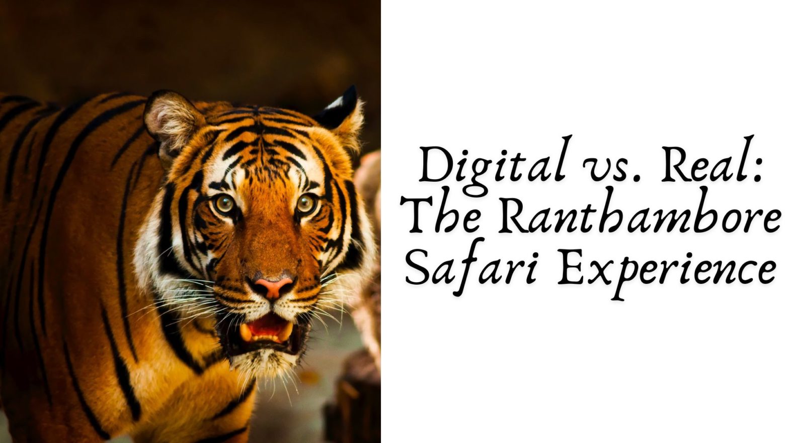 Digital vs. Real The Ranthambore Safari Experience